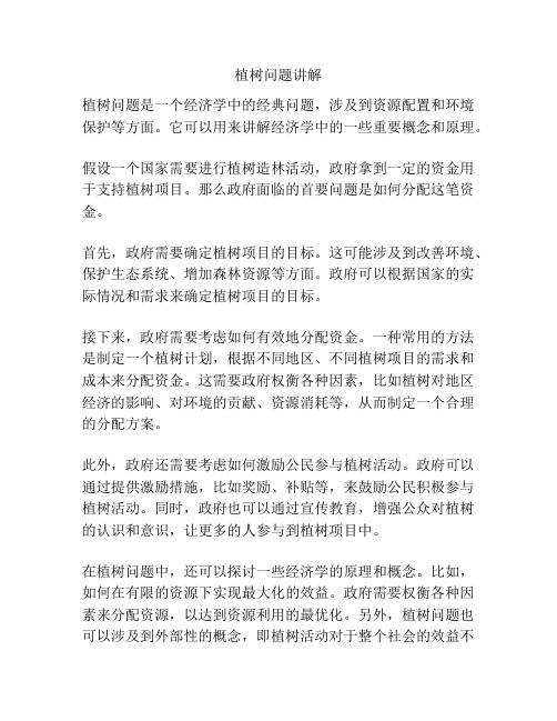 植树问题讲解