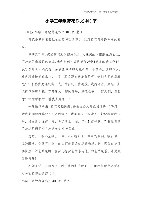 小学三年级荷花作文400字_2