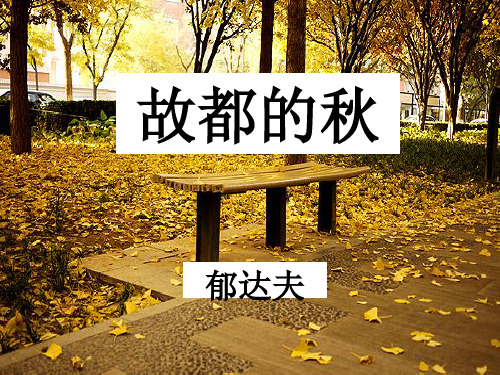 人教版高中语文选修《中国现代诗歌散文欣赏现代散文的情与理》(一等奖课件)