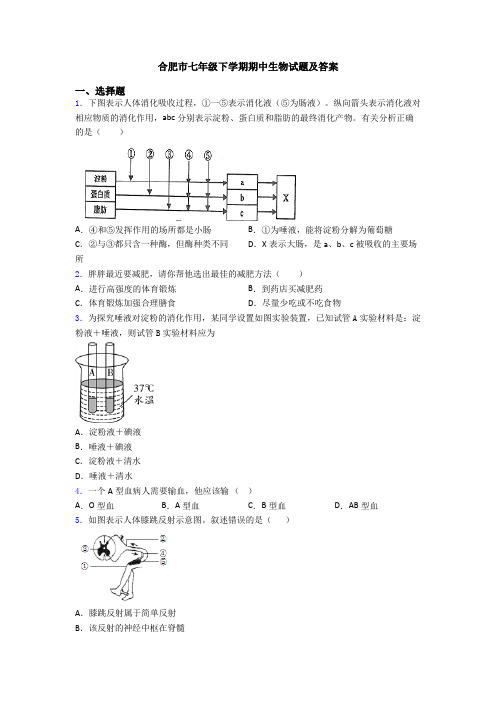 合肥市七年级下学期期中生物试题及答案