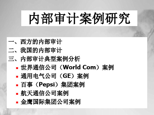 内部审计案例研究分析(PPT175页)