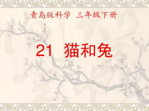 最新青岛版(六三制)小学科学三年级下册《猫和兔》公开课课件1