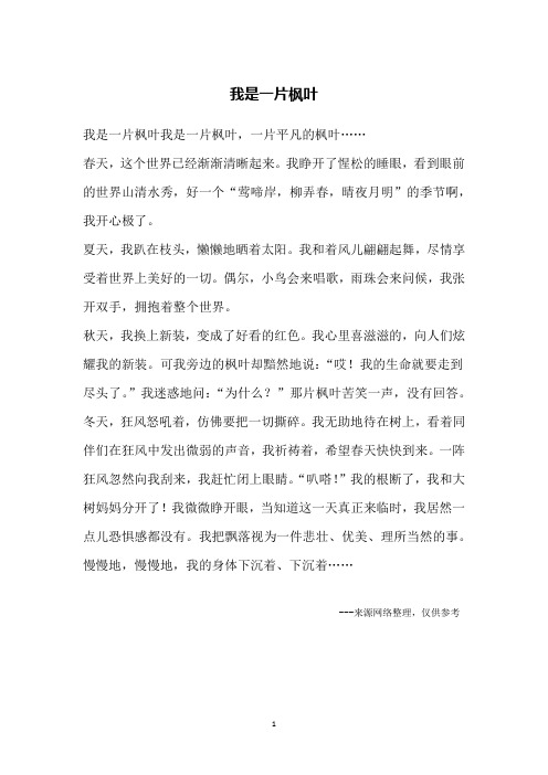 我是一片枫叶