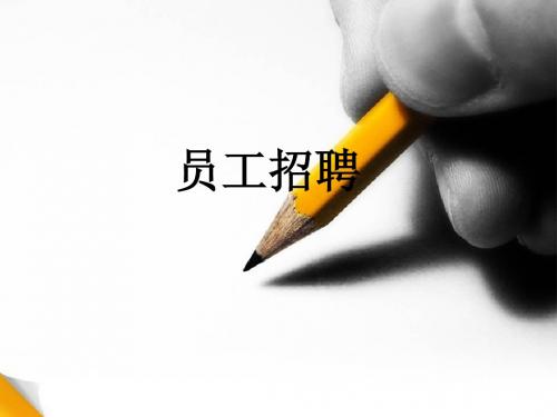 员工招聘 王挺