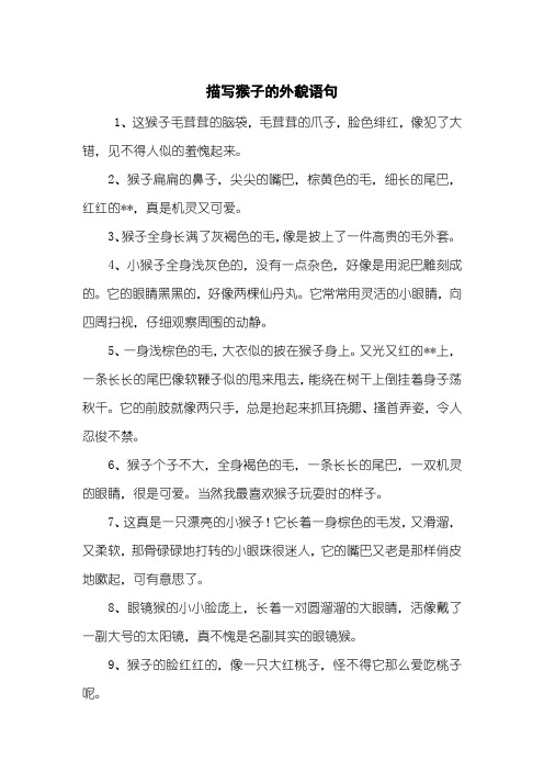 描写猴子的外貌语句