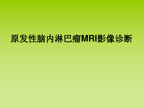 原发中枢神经系统淋巴瘤-精品医学课件