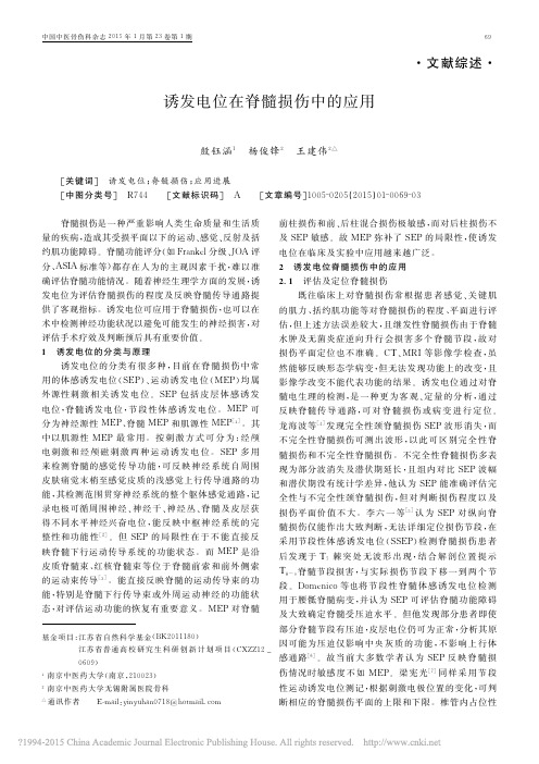 诱发电位在脊髓损伤中的应用_殷钰涵
