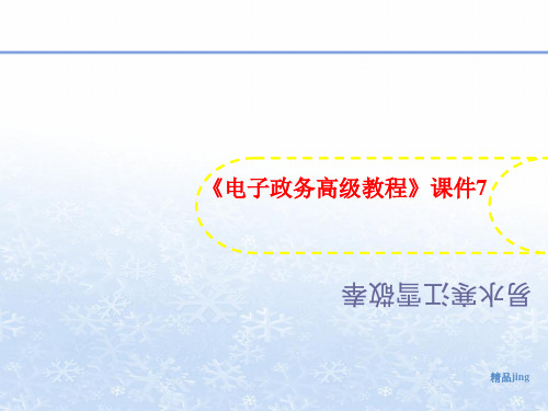《电子政务讲义高级教程》课件7
