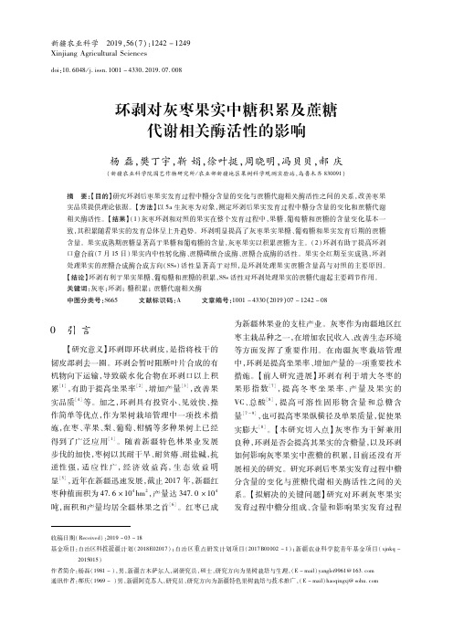 环剥对灰枣果实中糖积累及蔗糖代谢相关酶活性的影响