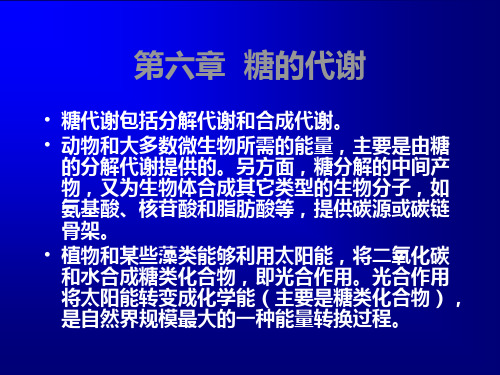 动物生物化学  第六章  糖的代谢