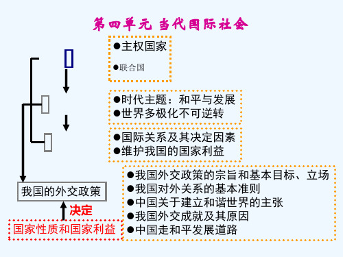 [精]《政治生活》第九课