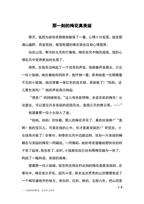 那一刻的梅花真美丽_六年级作文