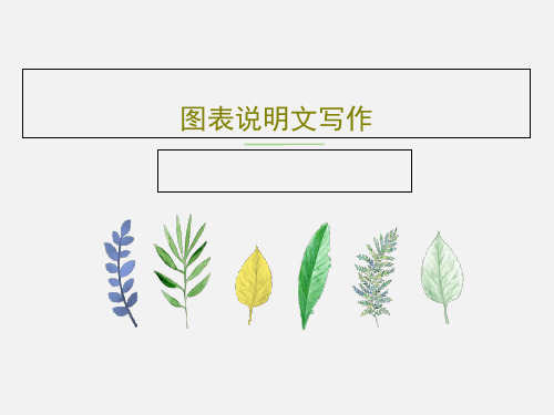 图表说明文写作PPT共60页