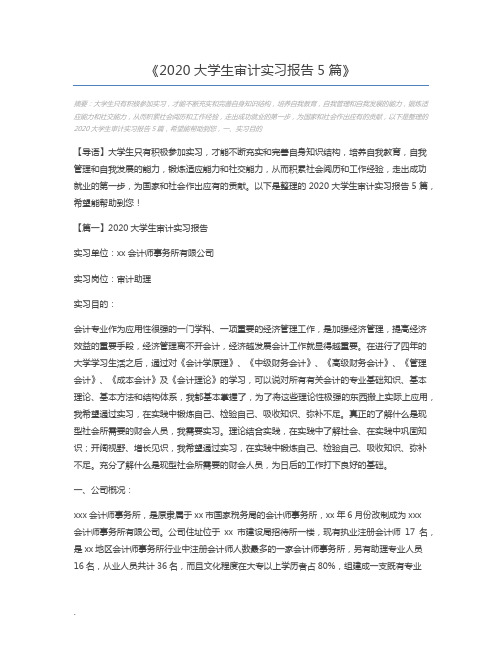2020大学生审计实习报告5篇