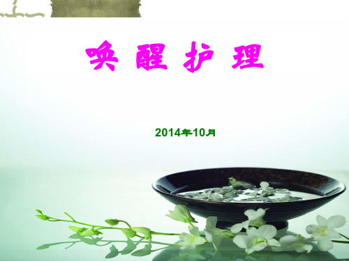 最全PPT唤醒护理