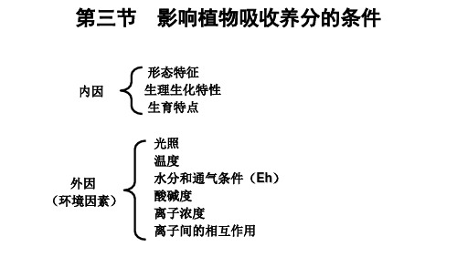 影响植物吸收养分的条件