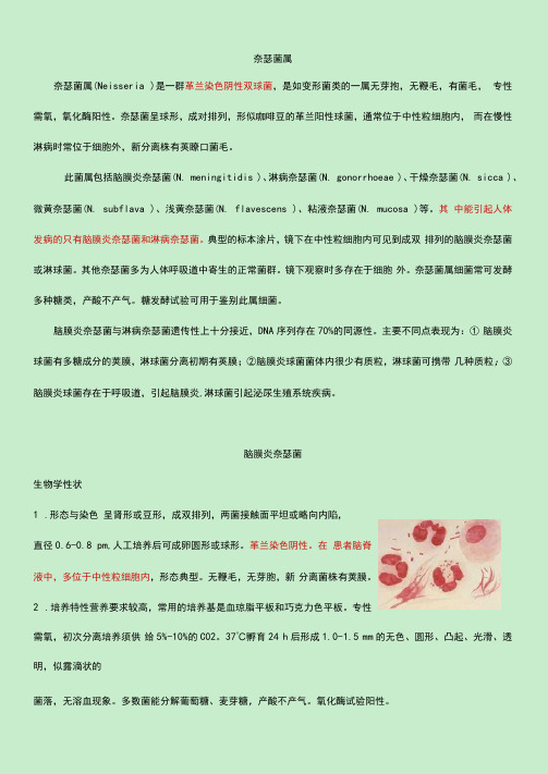 奈瑟菌属详细介绍及防治原则