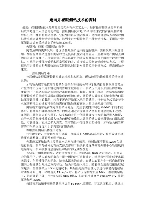 定向井裸眼侧钻技术的探讨