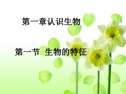 第一章认识生物 ppt课件