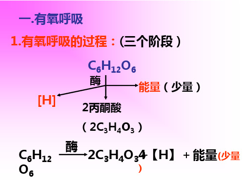 高一生物《细胞呼吸》PPT课件