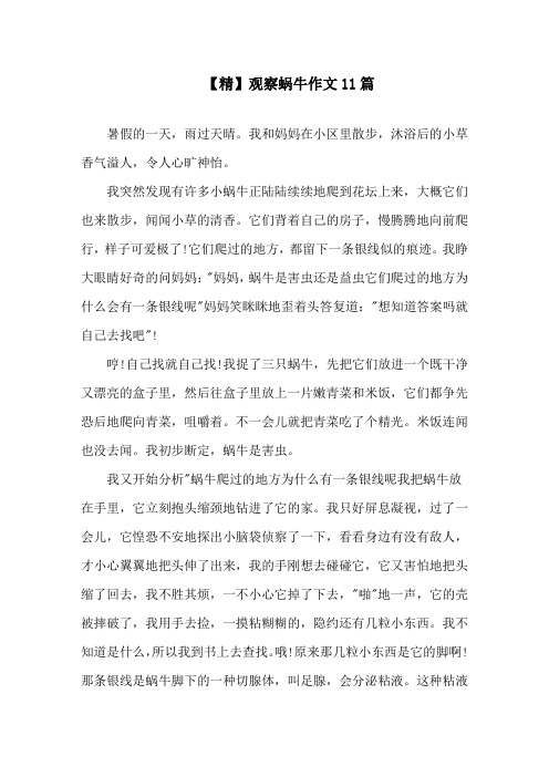 观察蜗牛作文11篇精选
