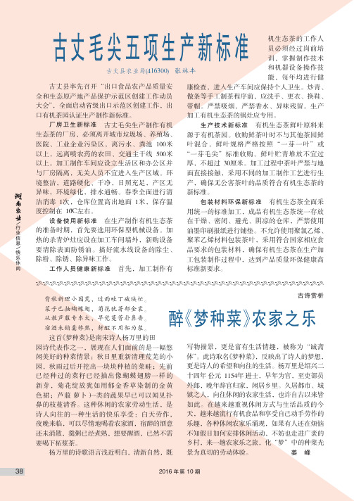 古丈毛尖五项生产新标准