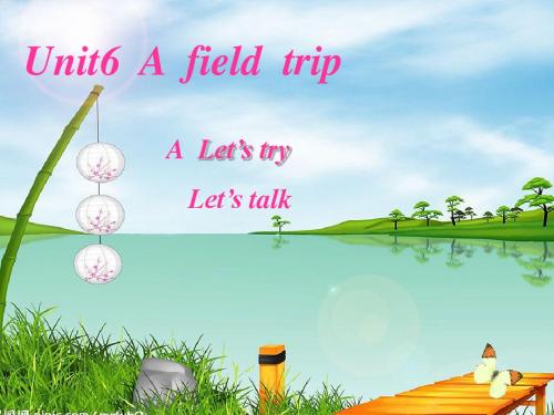 PEP6_Unit6_A_field_trip._A_Let's_talk