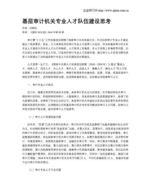基层审计机关专业人才队伍建设思考