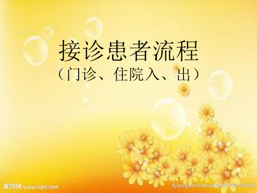 病人入院与出院流程PPT