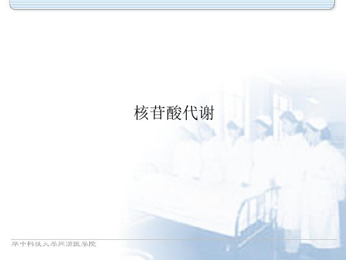 核苷酸代谢