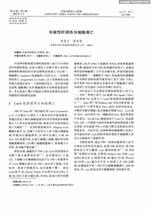 实验性肝损伤与细胞凋亡