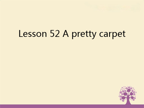 新概念英语第二册+Lesson+52-A+Pretty+Carpet+课件