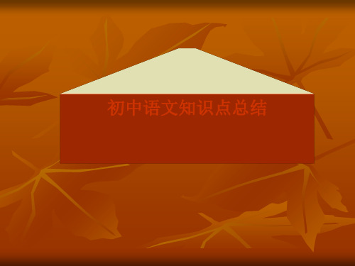 初中语文知识点总结精选课件PPT
