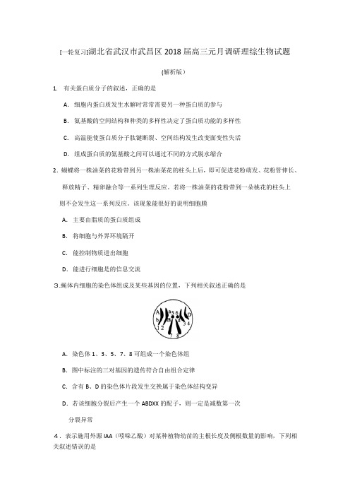 湖北省武汉巿武昌区2018届高三年级元月调研考试理综生物试题(解析版)
