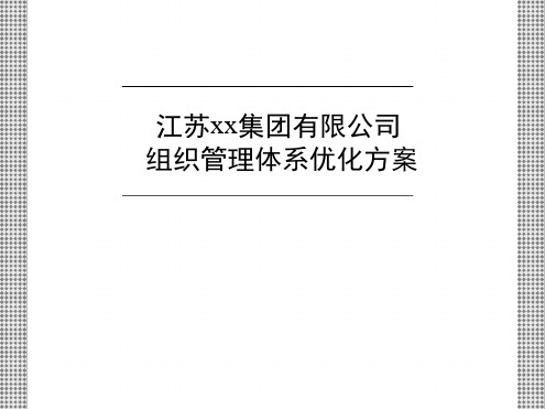 组织管理体系优化方案报告