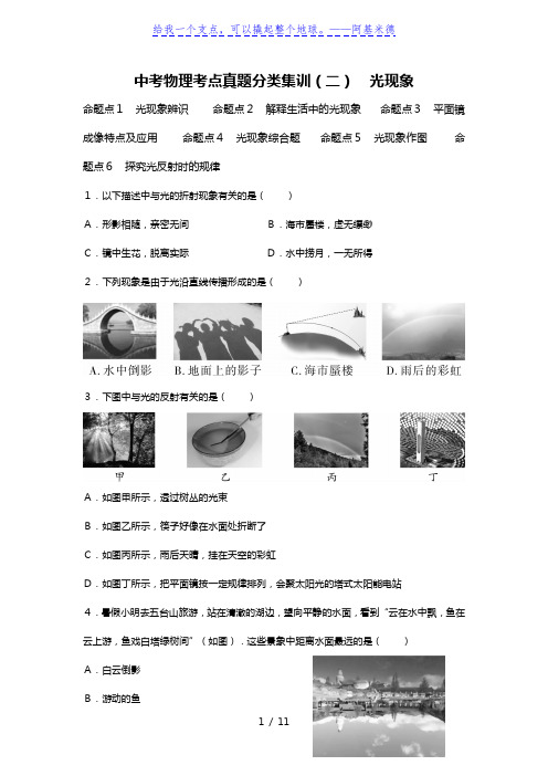 中考物理考点真题分类集训(二) 光现象【含答案解析】