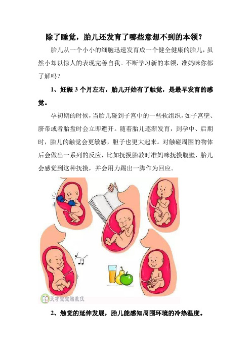除了睡觉,胎儿还发育了哪些意想不到的本领？