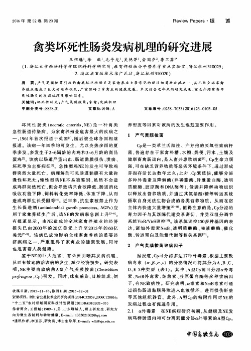 禽类坏死性肠炎发病机理的研究进展