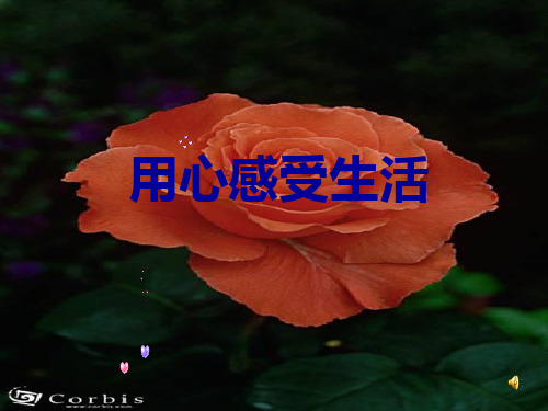 作文-初中作文指导：用心感受生活ppt14优秀PPT