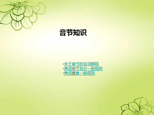 音节知识1