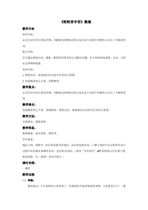 《粒粒皆辛苦》教案