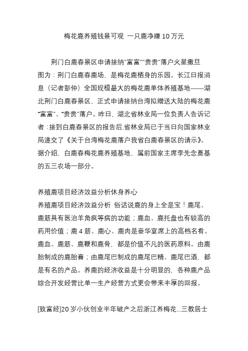 梅花鹿养殖钱景可观-一只鹿净赚10万元