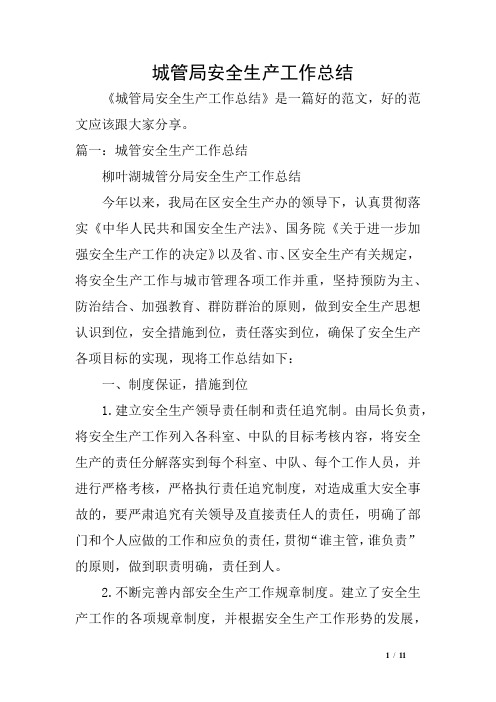 城管局安全生产工作总结