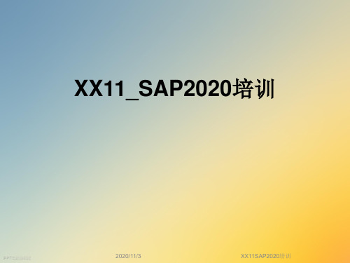 XX11SAP2020培训