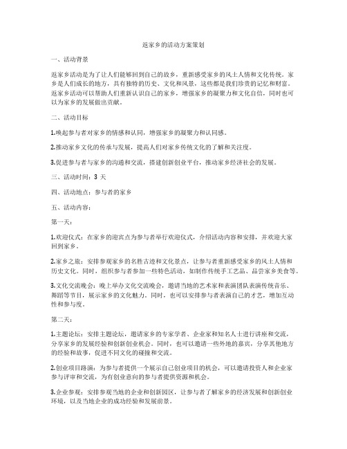 返家乡的活动方案策划