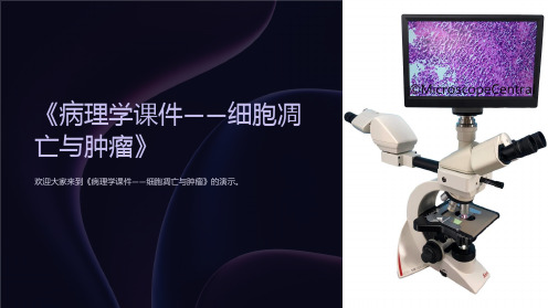 《病理学课件-细胞凋亡与肿瘤》