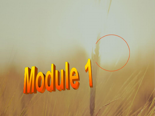 外研版高中英语必修三课件：Module1 Europe Grammar 1 精品