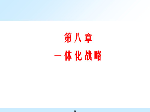 《一体化战略》PPT课件