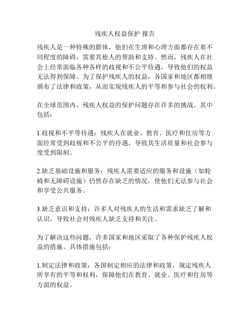 残疾人权益保护 报告