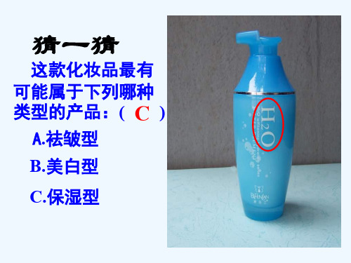 华师大版科学八上《化学式》ppt课件1